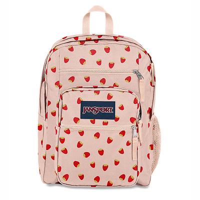 JanSport BIG STUDENT Laptop Rugzak Roze | NL_JS104