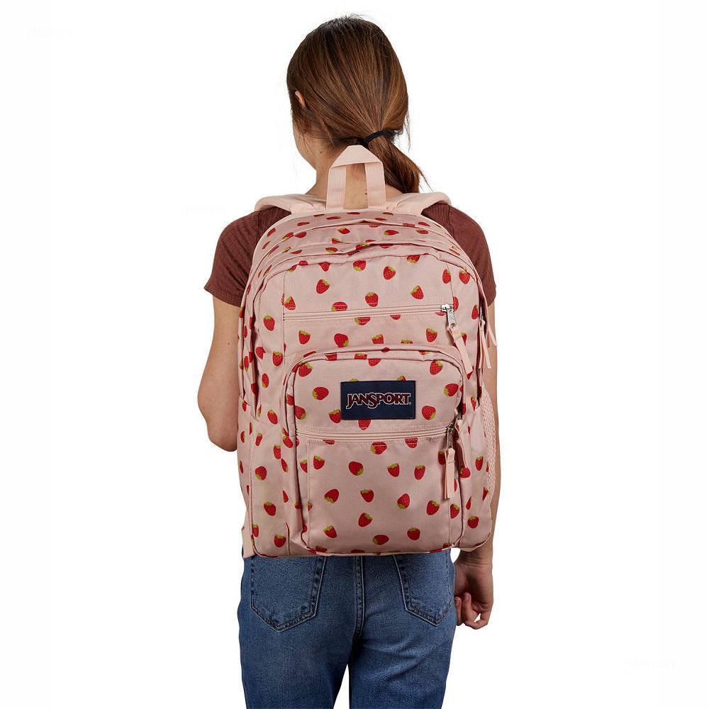 JanSport BIG STUDENT Laptop Rugzak Roze Rood | NL_JS361