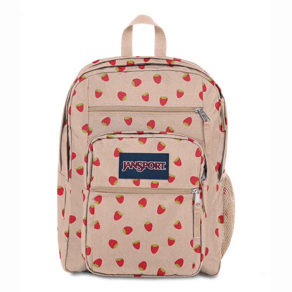 JanSport BIG STUDENT Laptop Rugzak Roze Rood | NL_JS361