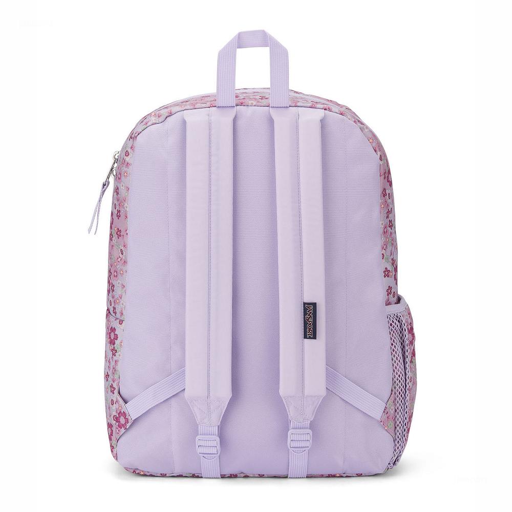 JanSport CROSS TOWN Schooltas Roze | NL_JS211