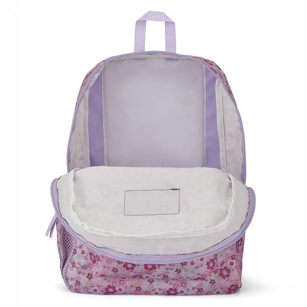 JanSport CROSS TOWN Schooltas Roze | NL_JS211