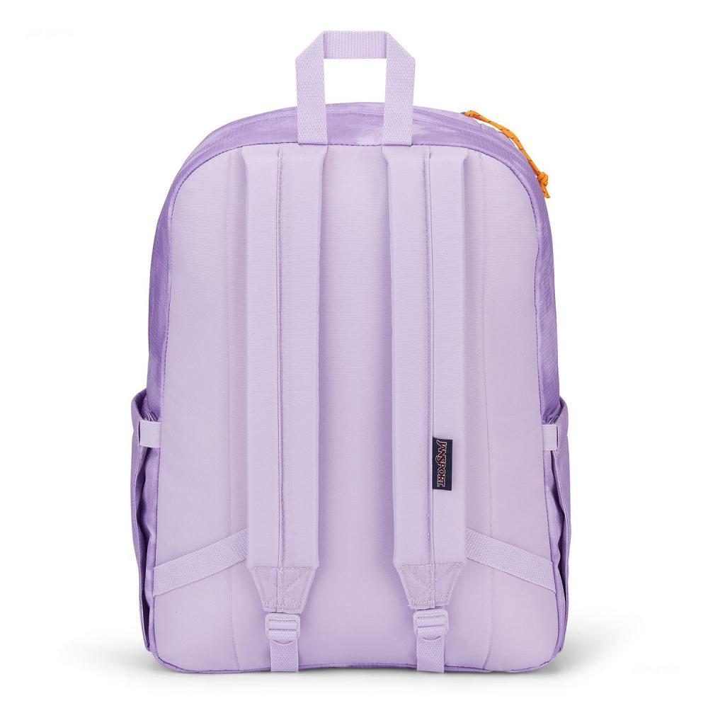 JanSport Double Break Laptop Rugzak Paars | NL_JS136