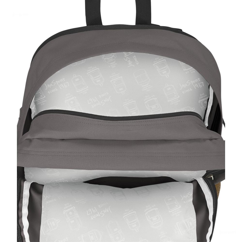 JanSport Main Campus Schooltas Grijs | NL_JS576