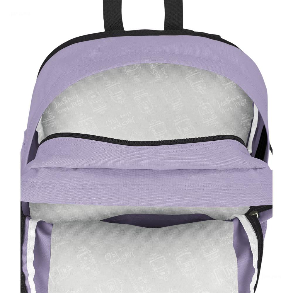 JanSport Main Campus Schooltas Paars | NL_JS157