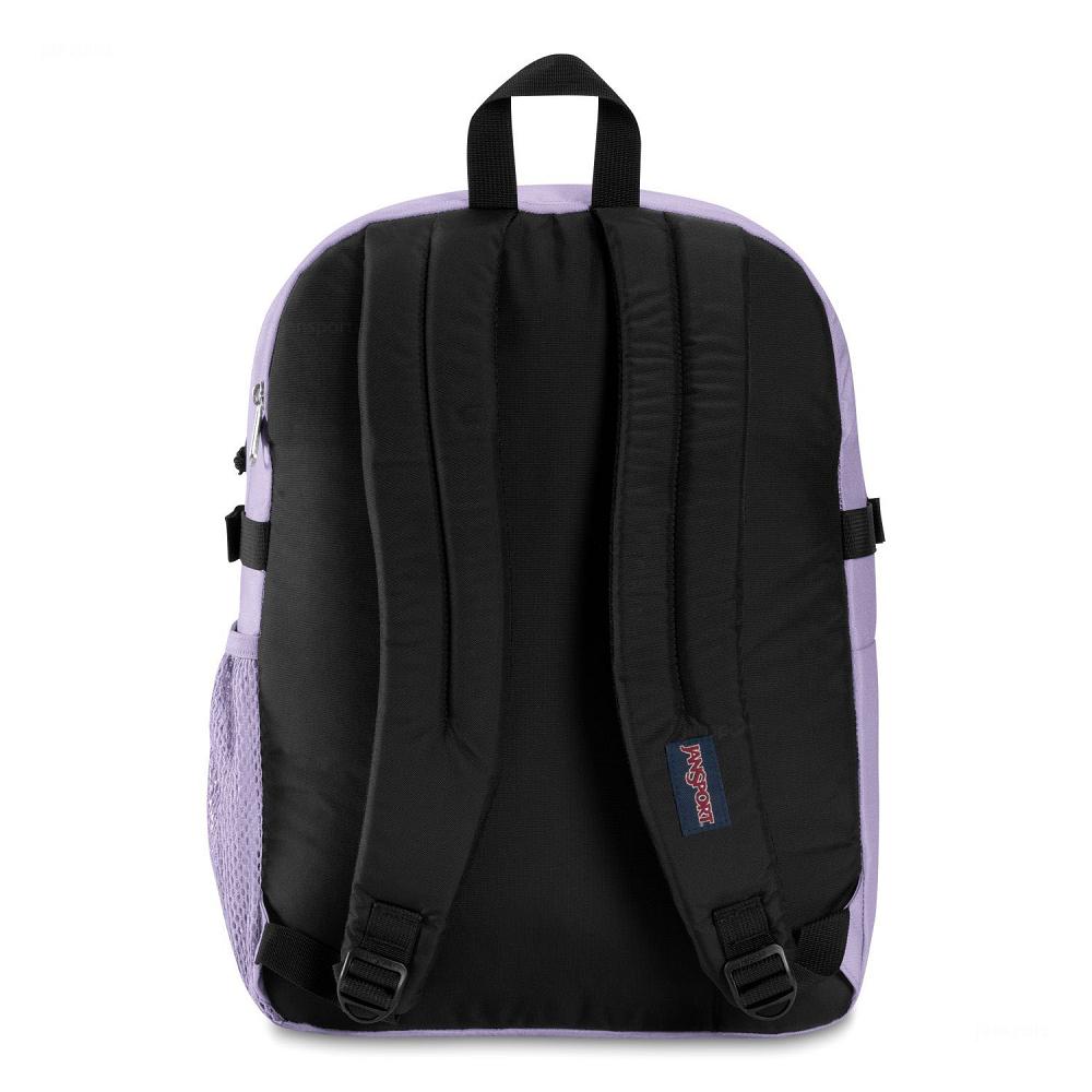 JanSport Main Campus Schooltas Paars | NL_JS157