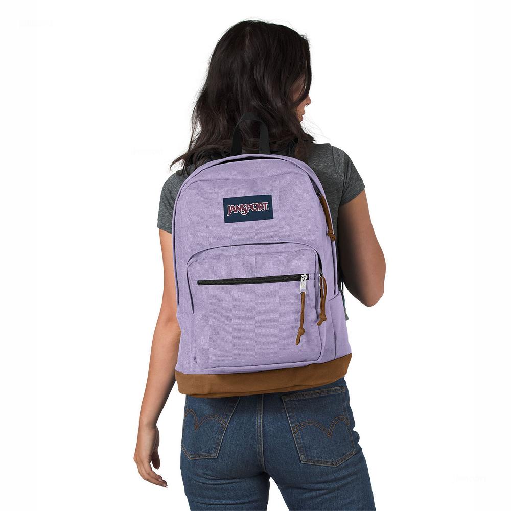 JanSport Right Pack Laptop Rugzak Paars | NL_JS027