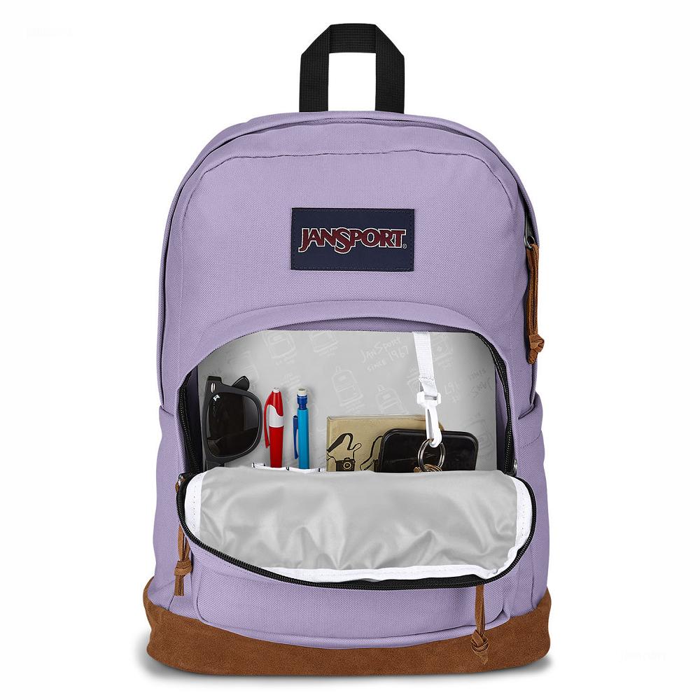 JanSport Right Pack Laptop Rugzak Paars | NL_JS027