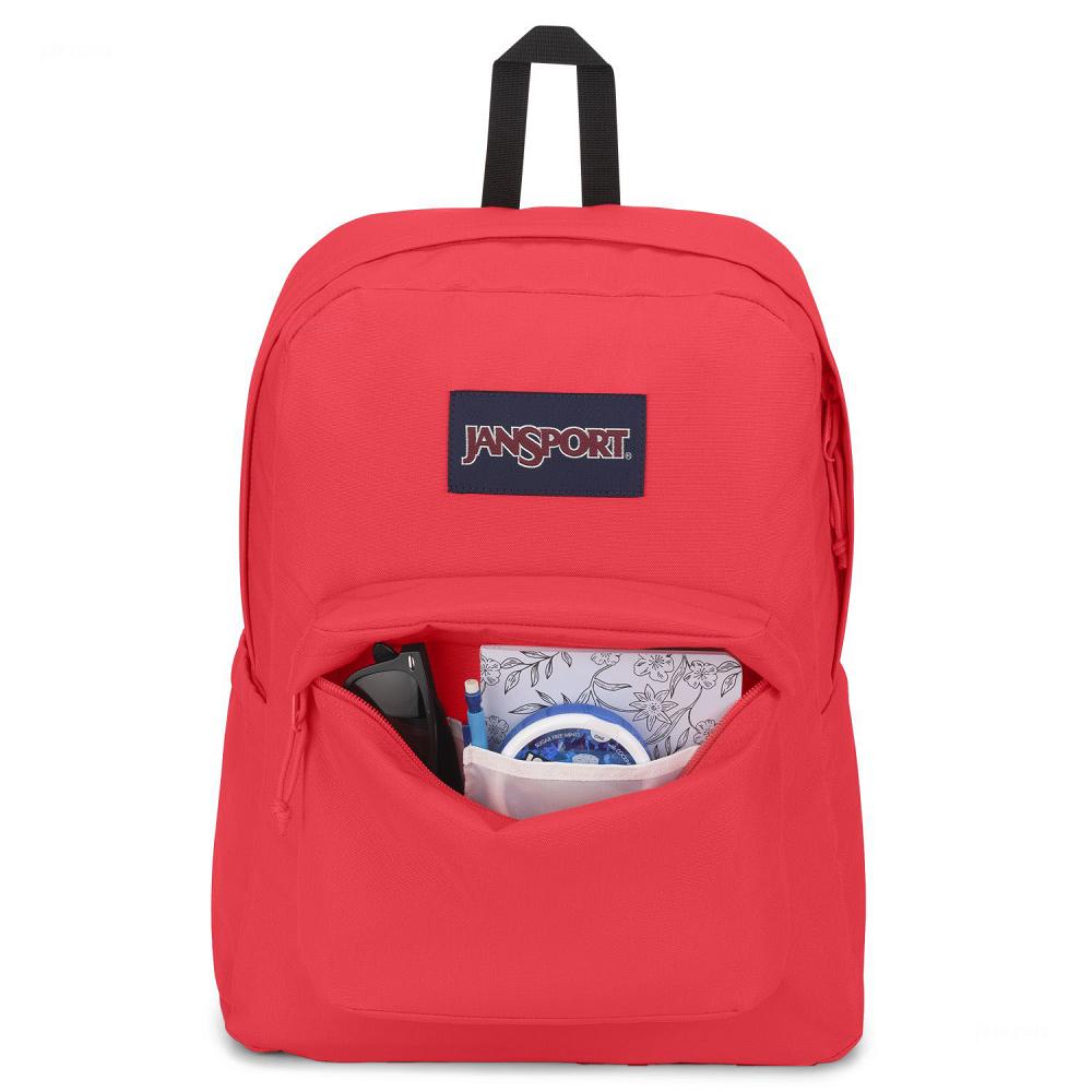 JanSport SuperBreak® Plus Laptop Rugzak Roze | NL_JS20B