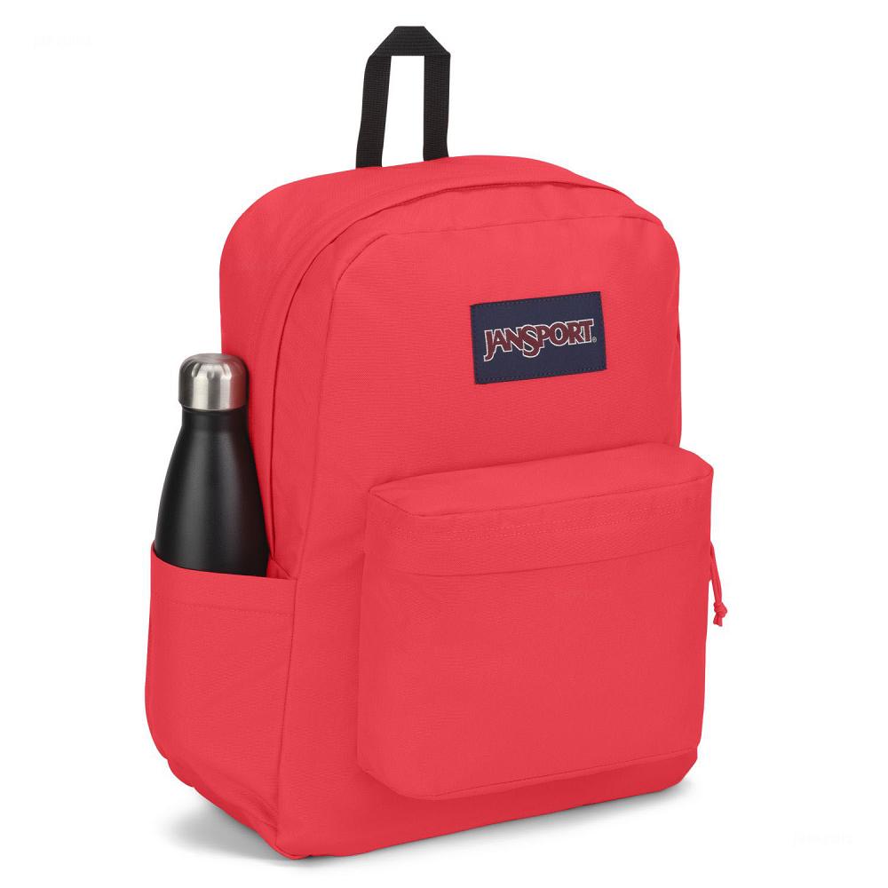 JanSport SuperBreak® Plus Laptop Rugzak Roze | NL_JS20B