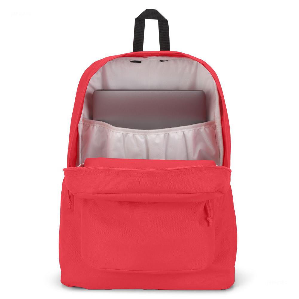 JanSport SuperBreak® Plus Laptop Rugzak Roze | NL_JS20B