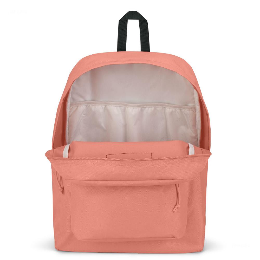 JanSport SuperBreak® Plus Laptop Rugzak Roze | NL_JS253