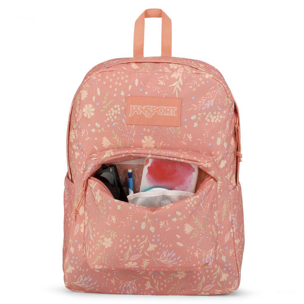 JanSport SuperBreak® Plus Laptop Rugzak Roze | NL_JS276