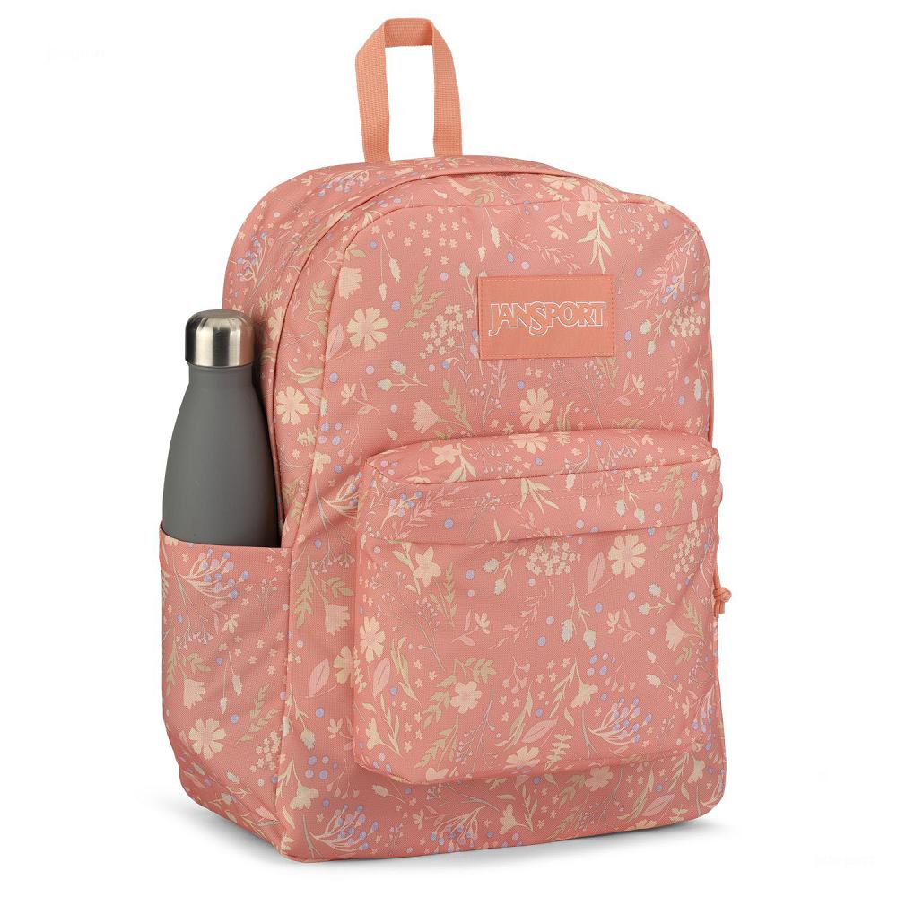 JanSport SuperBreak® Plus Laptop Rugzak Roze | NL_JS276