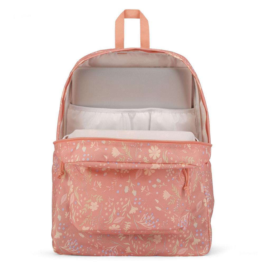 JanSport SuperBreak® Plus Laptop Rugzak Roze | NL_JS276