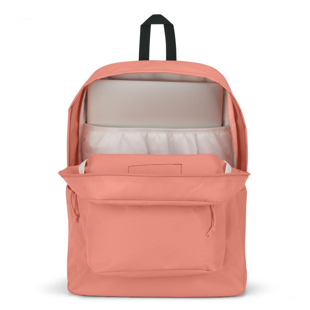 JanSport SuperBreak® Plus Schooltas Roze | NL_JS301