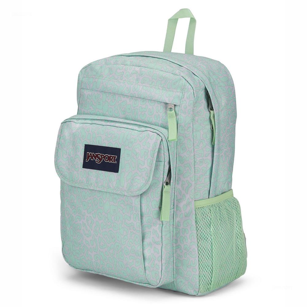 JanSport UNION PACK Laptop Rugzak Groen | NL_JS336