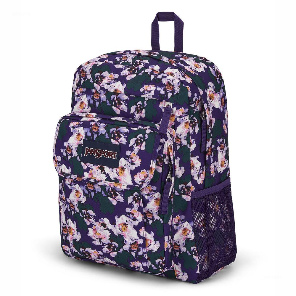 JanSport UNION PACK Laptop Rugzak Paars | NL_JS506