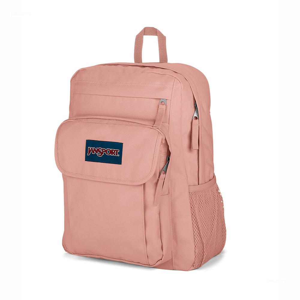 JanSport UNION PACK Laptop Rugzak Roze | NL_JS115